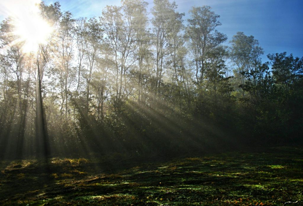 morning sunlight through window fresh air