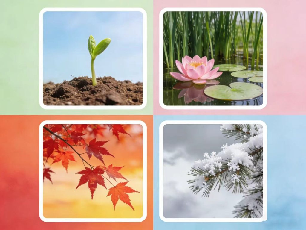 Seasonal Illustrations of Spring, Summer, Autumn, and Winter, TCM Four-Season Wellness Philosophy