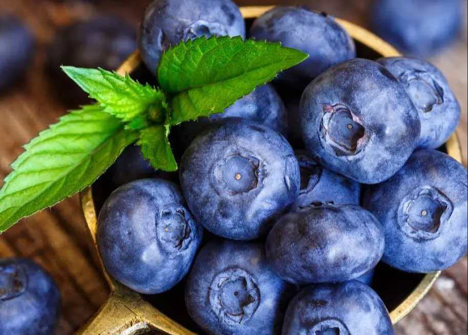 berries rich in antioxidants for eye health