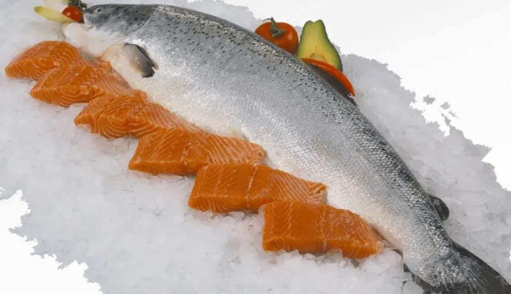 fatty fish rich in omega 3 for vision support