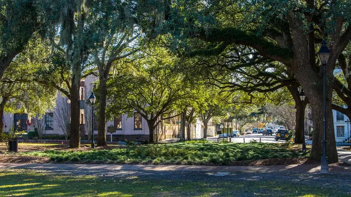 Downtown Savannah's Calhoun Square (Education Images/Universal Images Group via Getty Images)