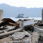 The 2011 Japan Earthquake and Tsunami Natural Disaster