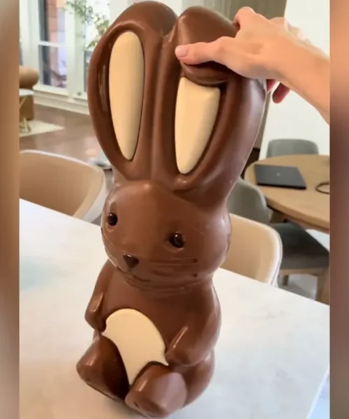 Massive 10-Pound Chocolate Bunny at Costco Priced Up to $140