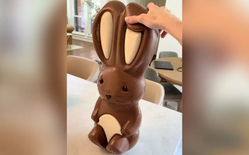 Massive 10-Pound Chocolate Bunny at Costco Priced Up to $140
