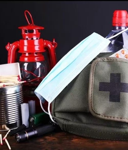 General Guidelines for Emergency Preparedness and Post-Disaster Recovery